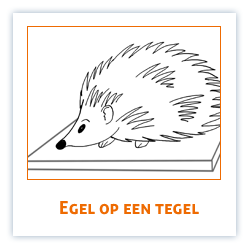 Egel op een tegel 